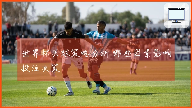 世界杯买球策略分析 哪些因素影响投注决策