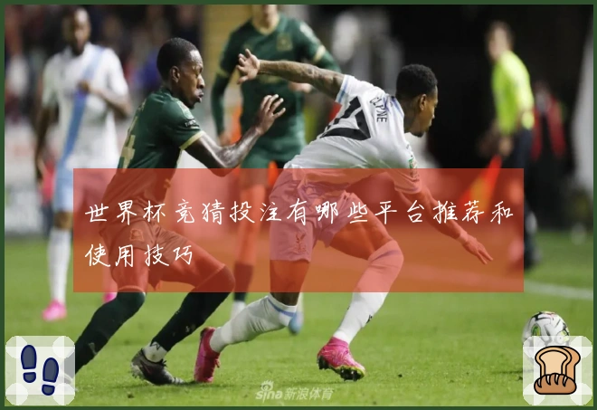 世界杯竞猜投注有哪些平台推荐和使用技巧