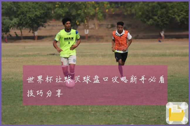 世界杯让球买球盘口攻略新手必看技巧分享