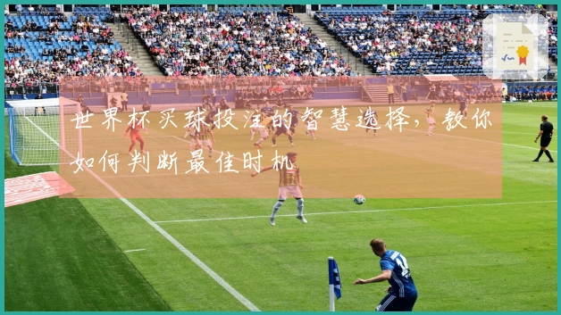 世界杯买球投注的智慧选择，教你如何判断最佳时机