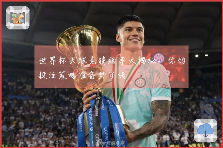 世界杯买球竞猜赔率大揭秘，你的投注策略准备好了吗