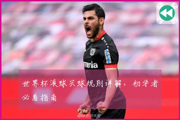世界杯滚球买球规则详解，初学者必看指南
