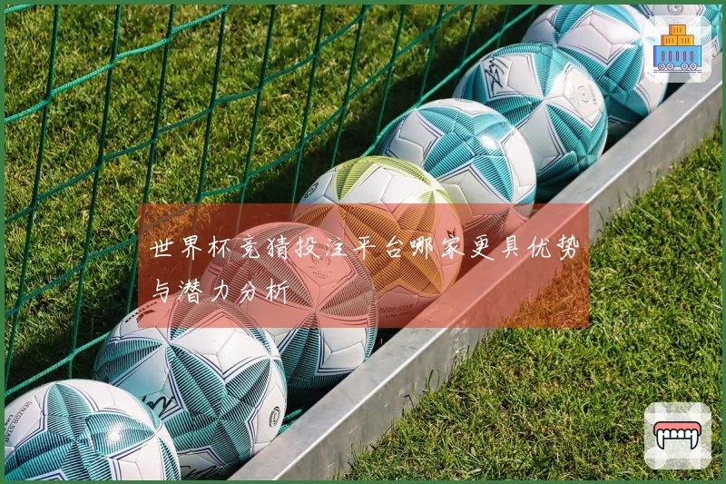 世界杯竞猜投注平台哪家更具优势与潜力分析
