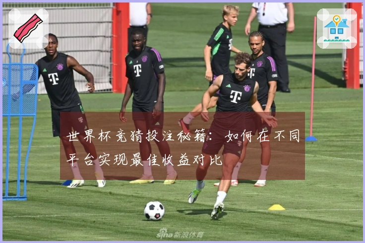 世界杯竞猜投注秘籍：如何在不同平台实现最佳收益对比