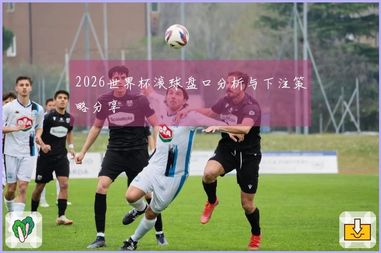 2026世界杯滚球盘口分析与下注策略分享
